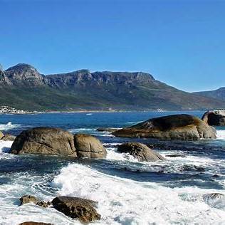 The Best of Cape Town - Full-Day Private Tour - Image 4